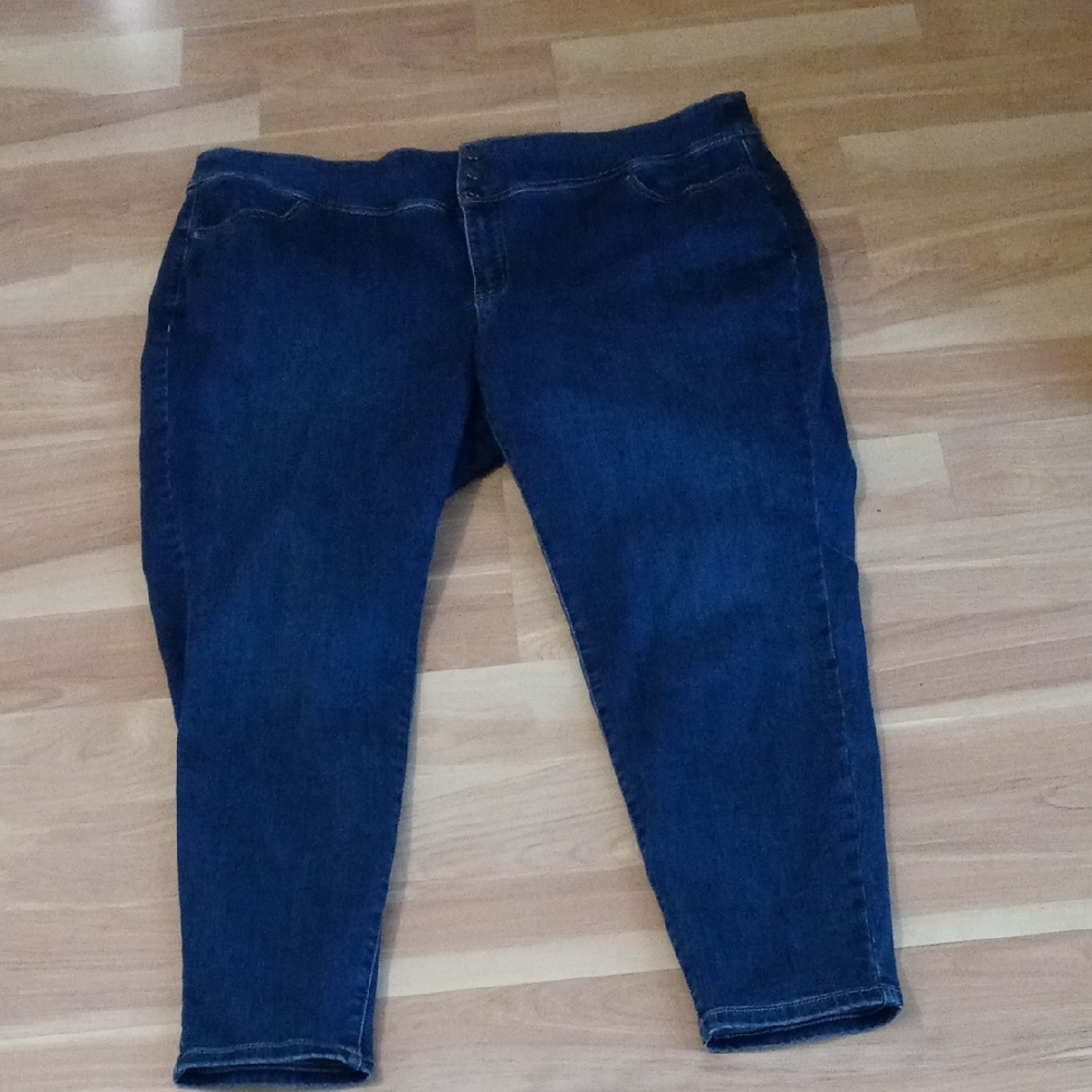 Lane Bryant Dark Blue Ankle Jeggings